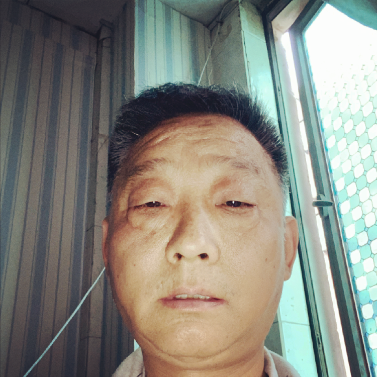 小海豚蹙眉暧昧的照片