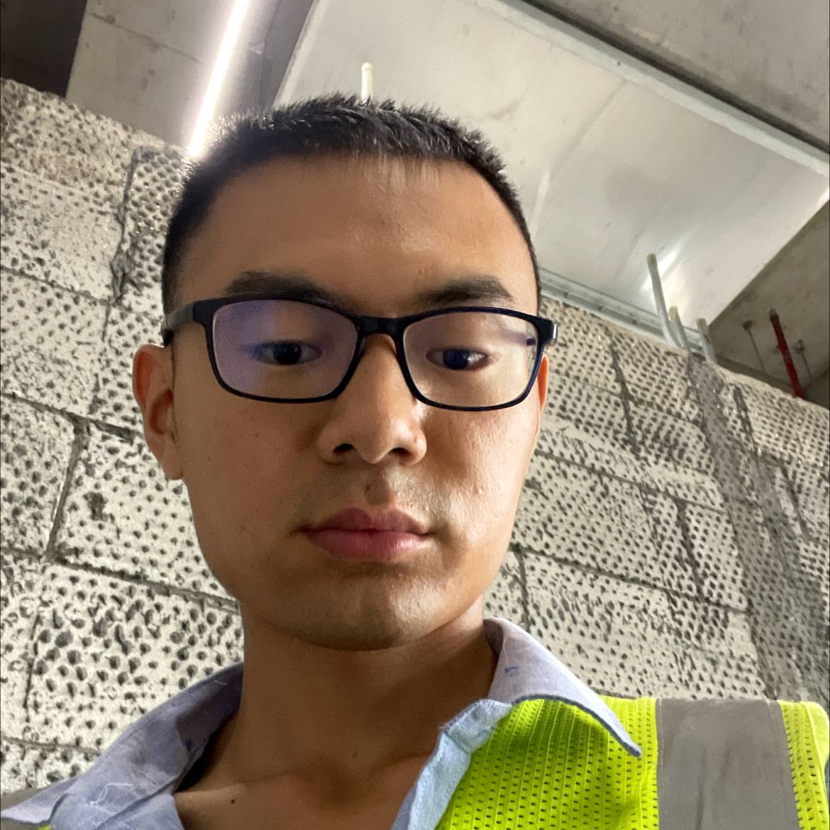 长颈鹿請魔幻的照片