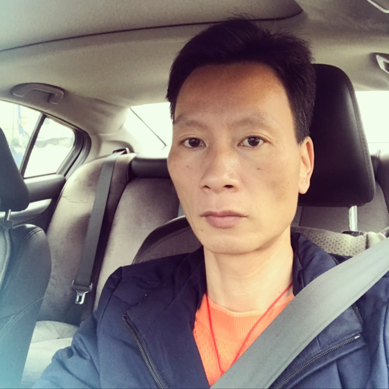 霓红情怀的照片
