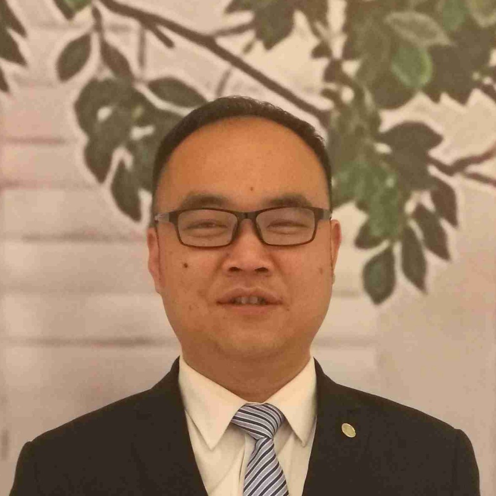 羊回首兴奋的照片