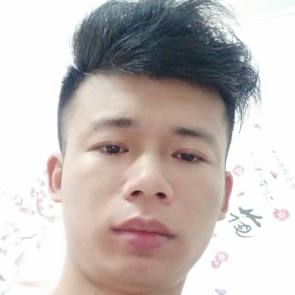 疯狂和仙人掌的照片