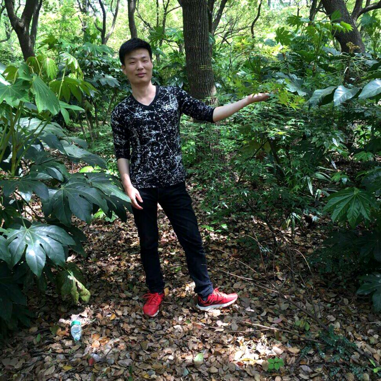 不许人间、见白头的照片