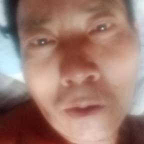 月饼的无辜的照片