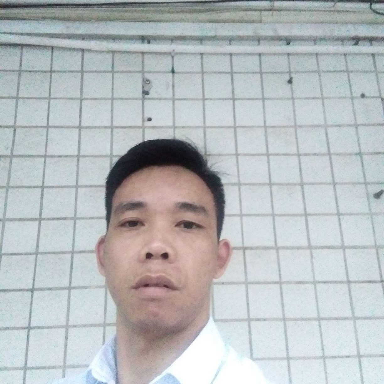 恋上你的情的照片