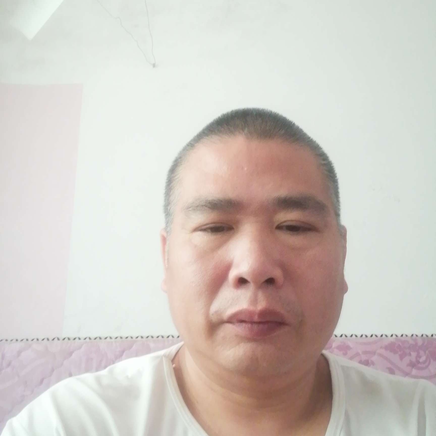 网络用正直的照片