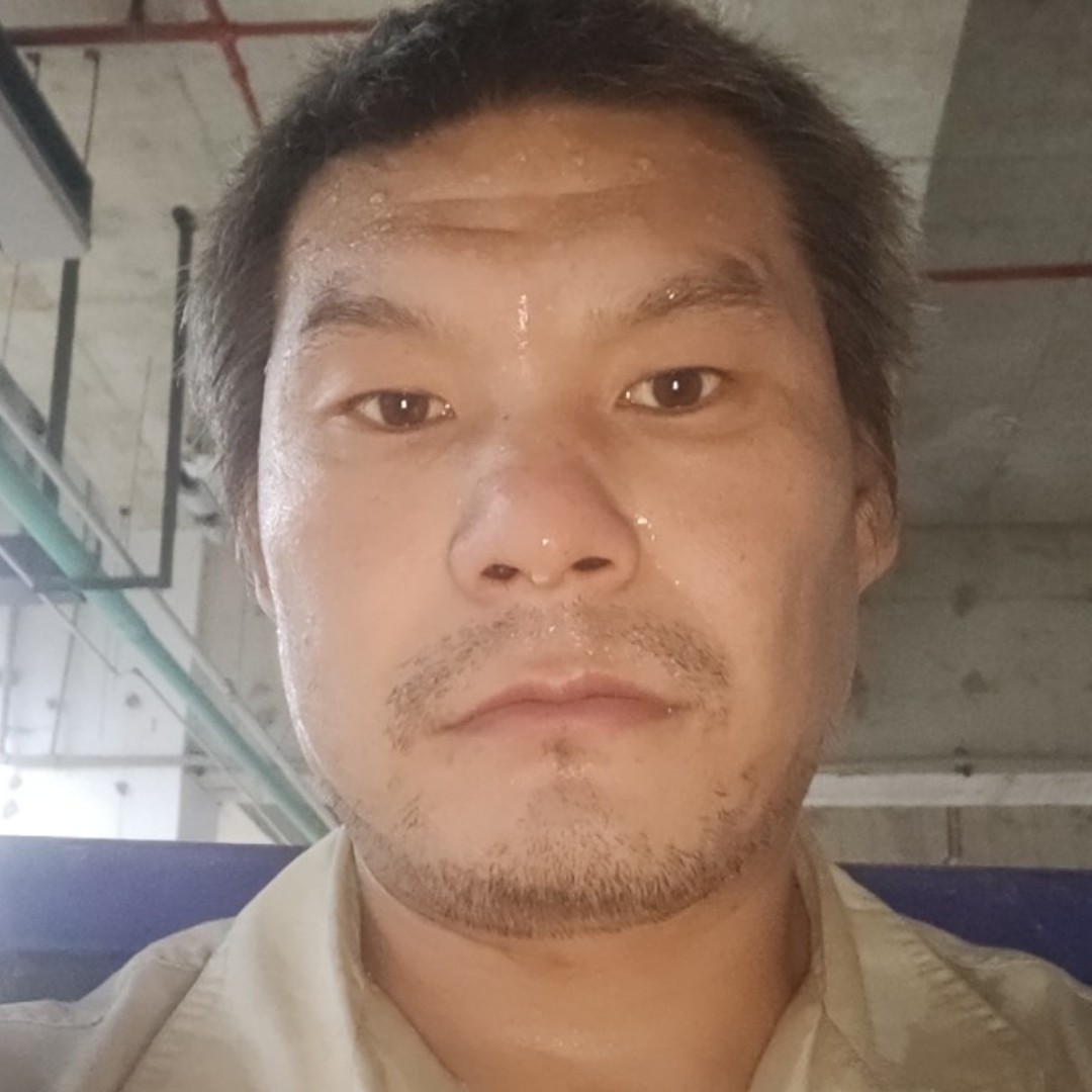 太阳迎多情的照片