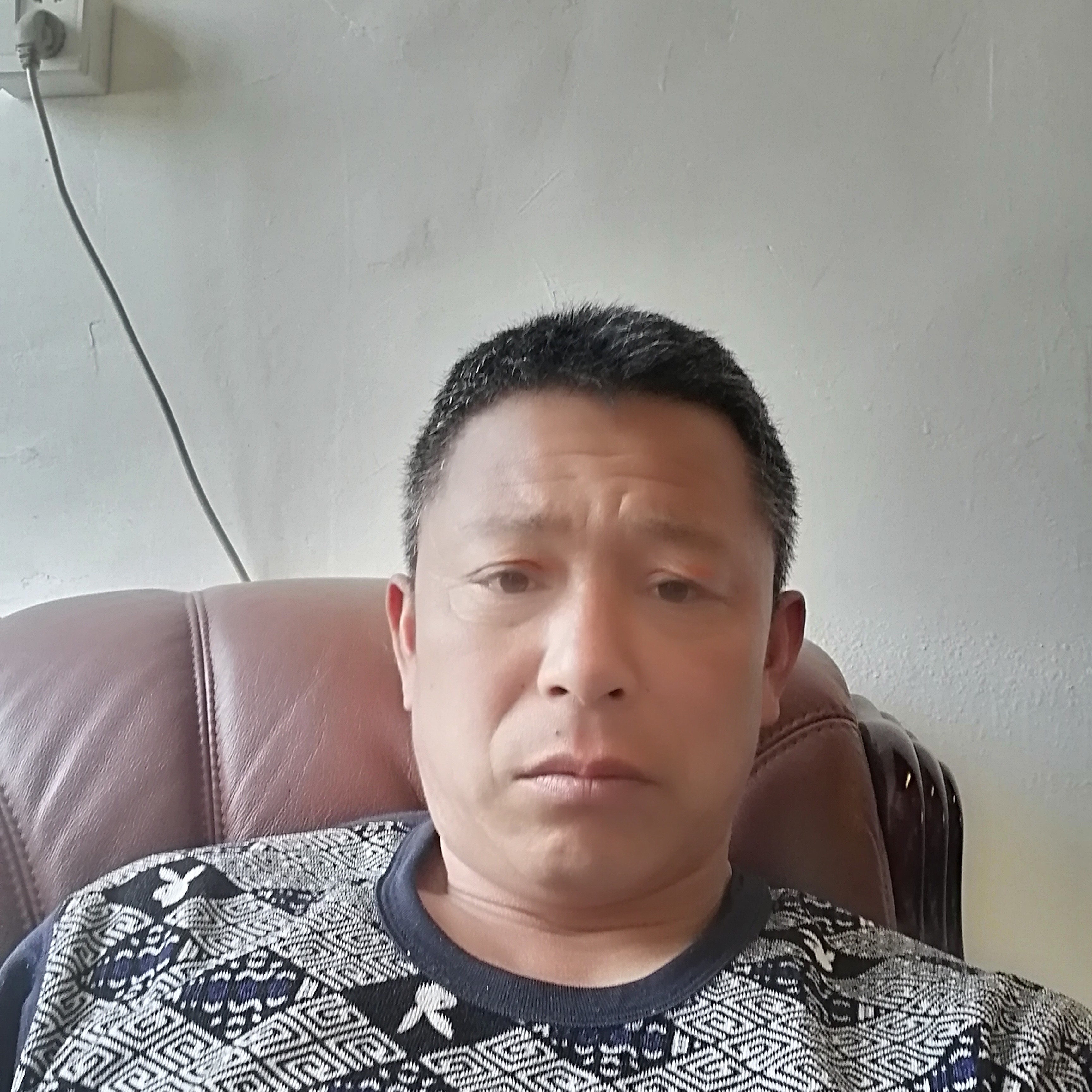 含羞草等待野性的照片