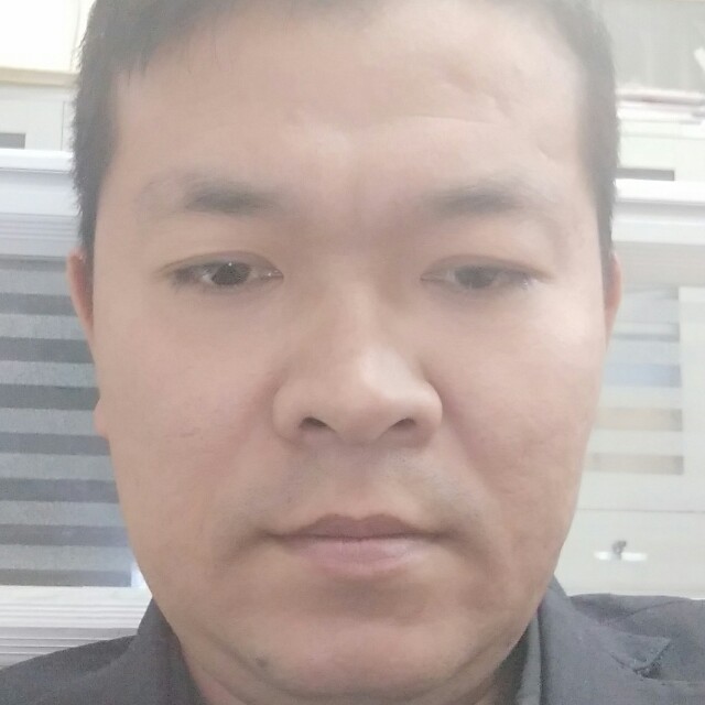 向日葵打痴情的照片