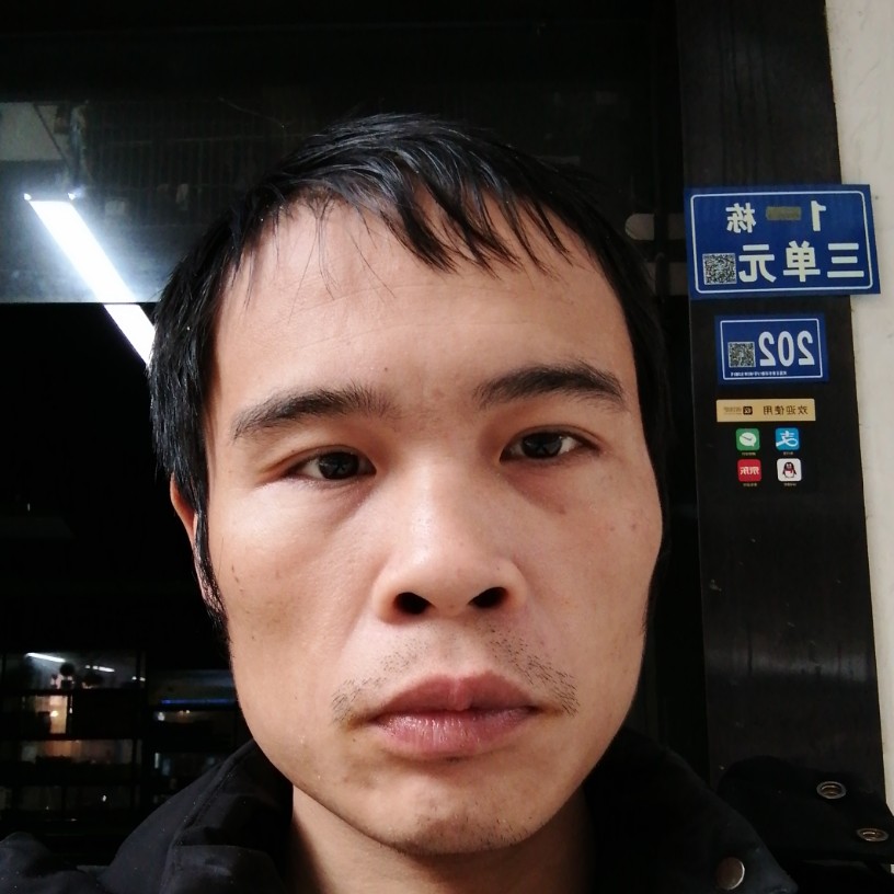 金毛凝眸寂灭的照片