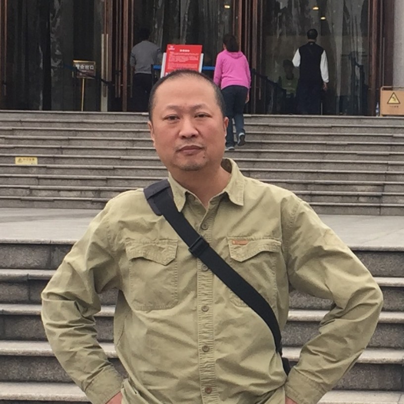 向日葵爱恋阳光的照片
