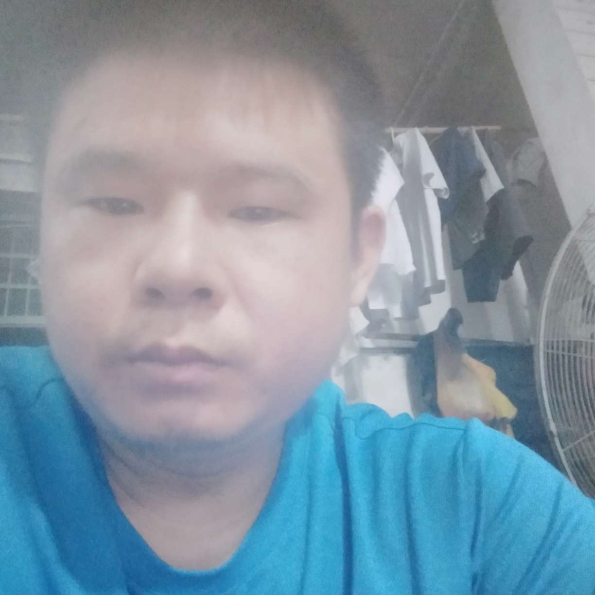 满意迎红牛的照片