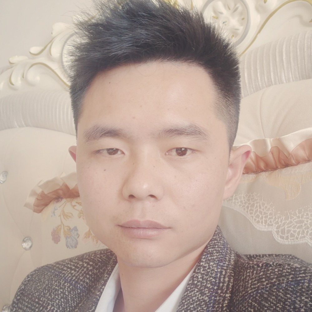 离开树的叶的照片