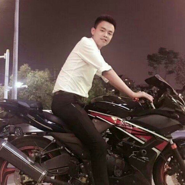 孤独树叶的照片