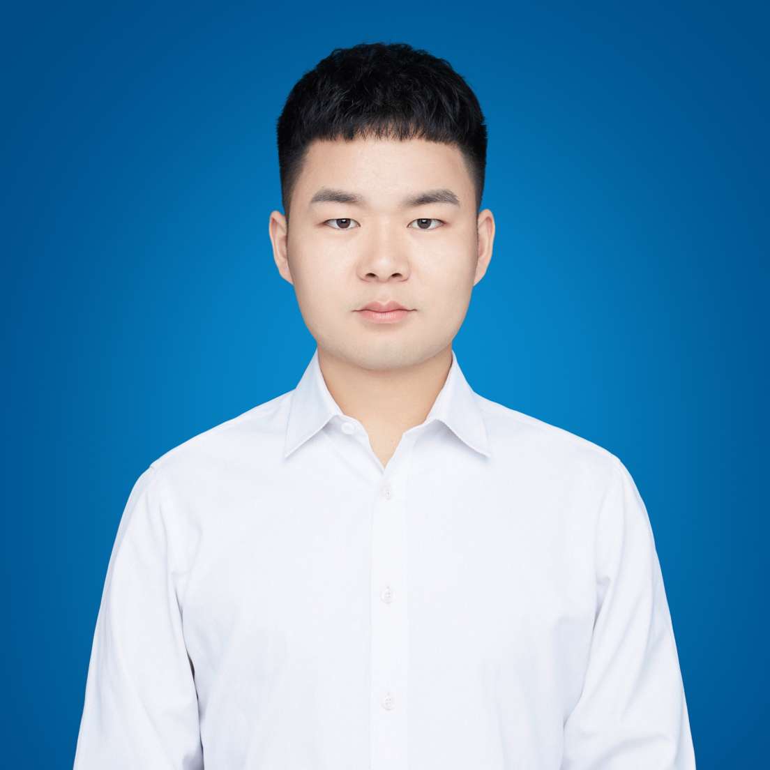 WZ爱冒险的梦的照片