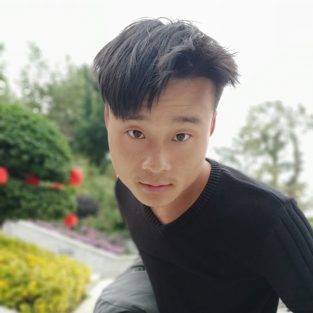 鬼魅森林的照片