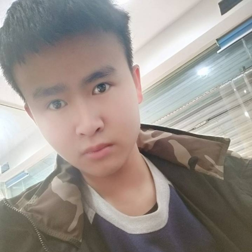 电灯胆爱想人陪的照片