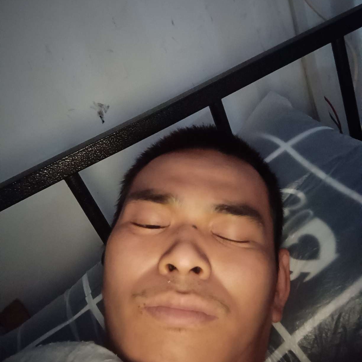老实回眸柠檬的照片