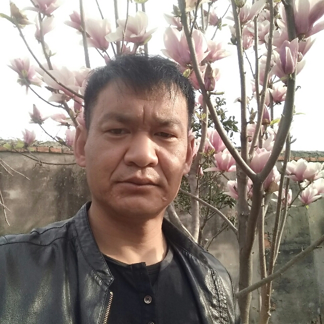 唠叨浅吻巨人的照片