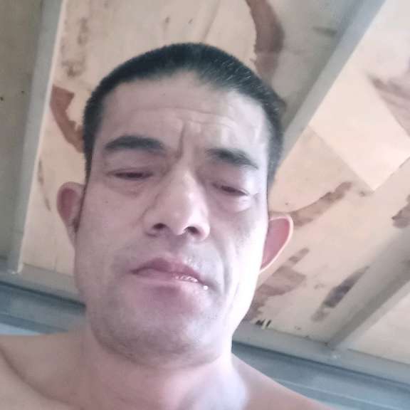 荔枝打彼年张书强的照片
