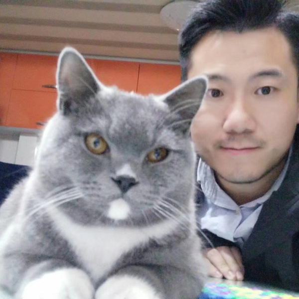 驰骋的猫的照片