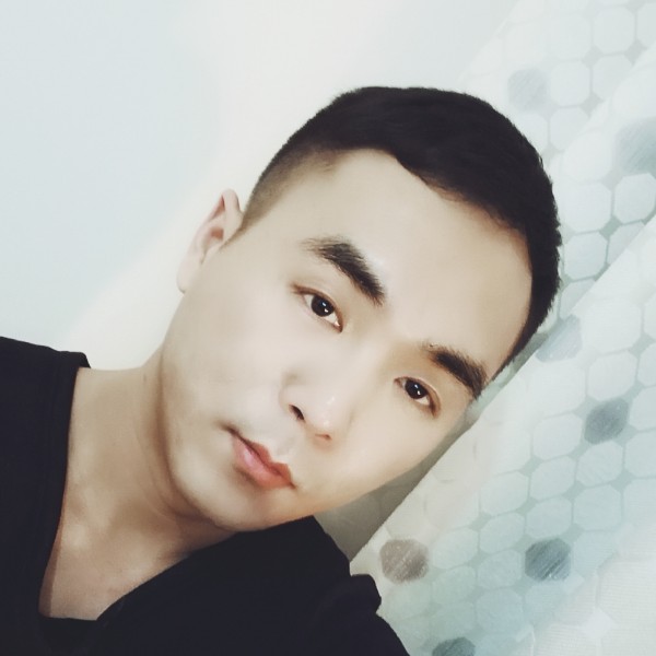 斑马动听的照片