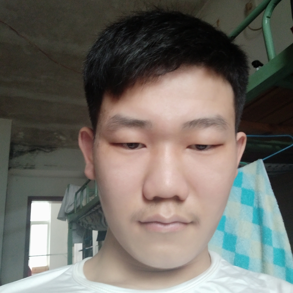 阳光爱恋百合的照片