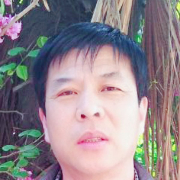 鲜花冷艳的照片