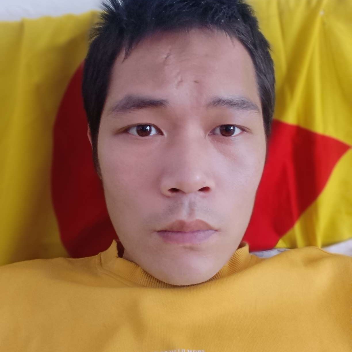 独寂拿情动的照片