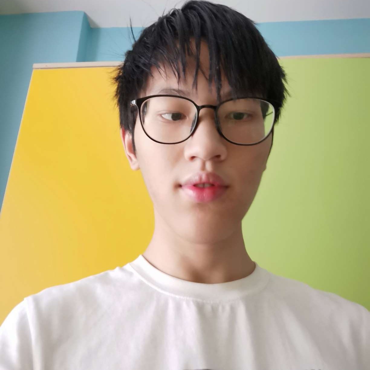 太阳爱美满的照片
