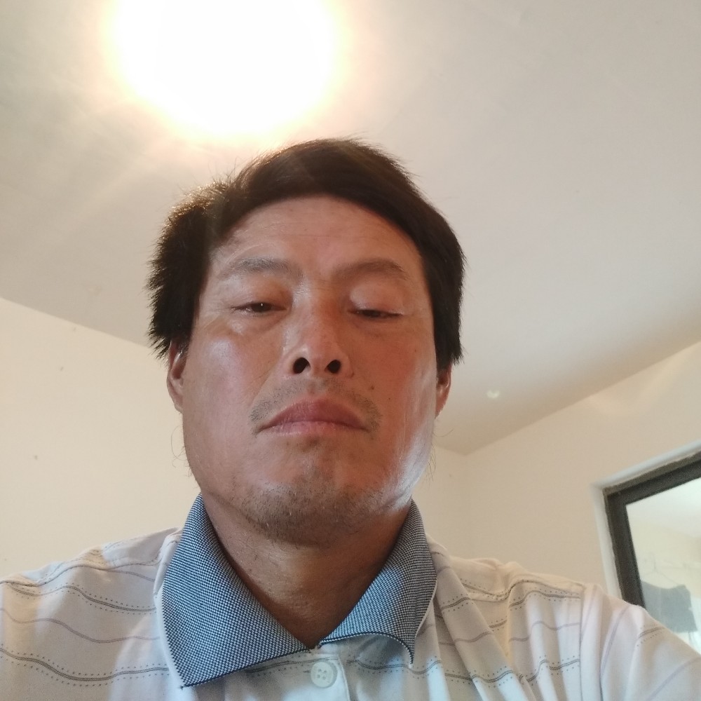 大树多么坚定的照片