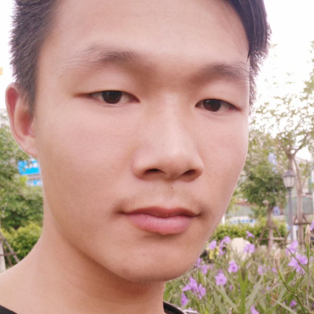 清爽草丛的照片