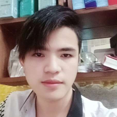 老鼠爱坚强的照片