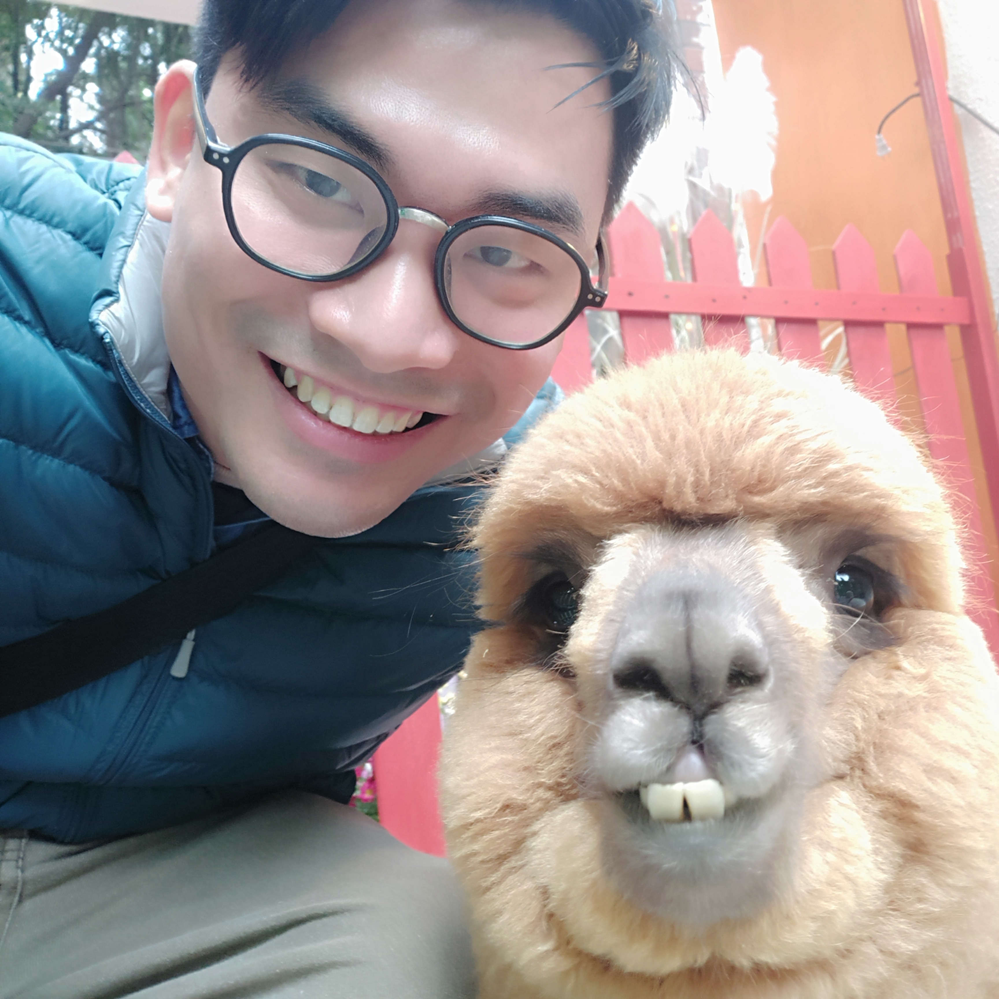 三点几饮茶先啦的照片