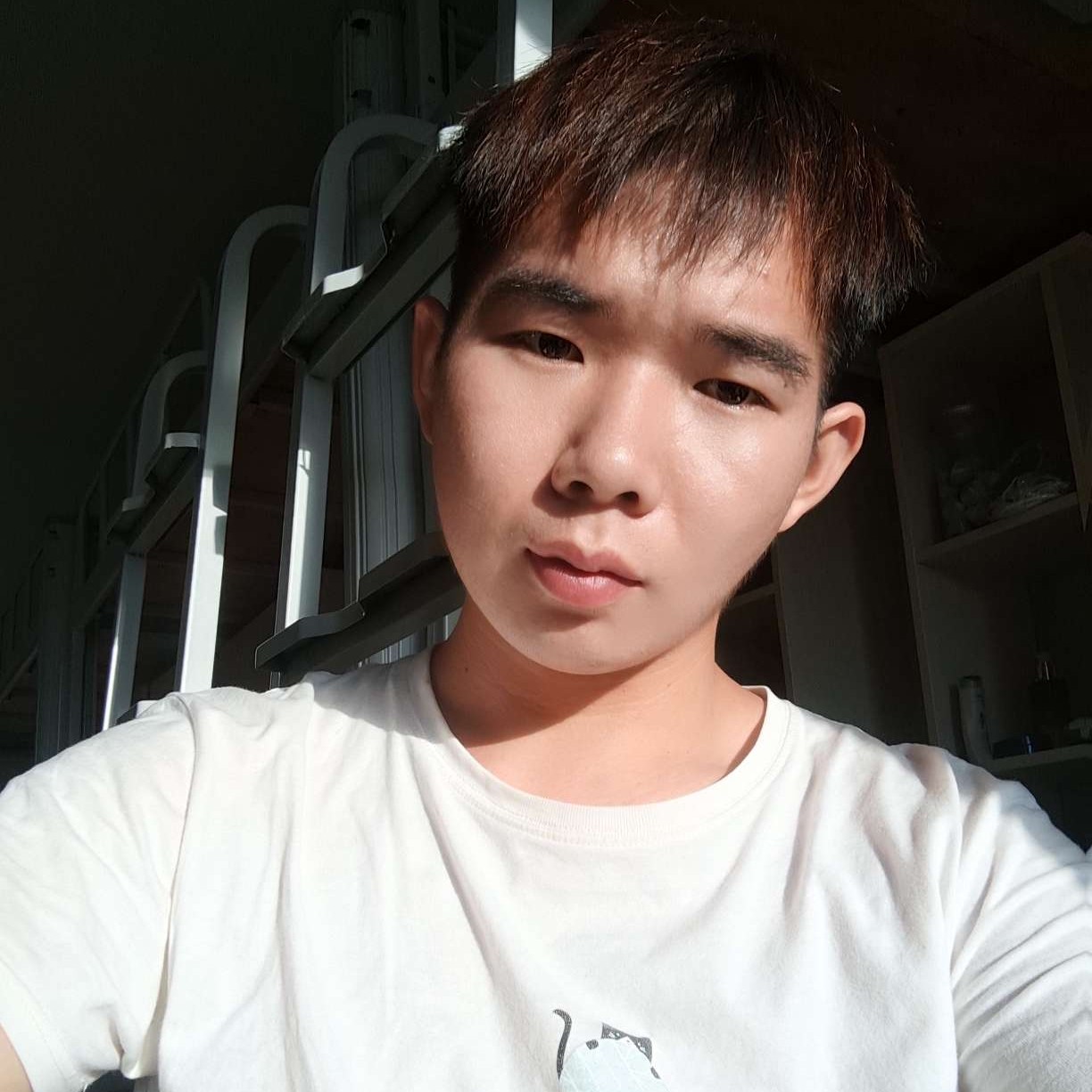 给你可以照片的照片