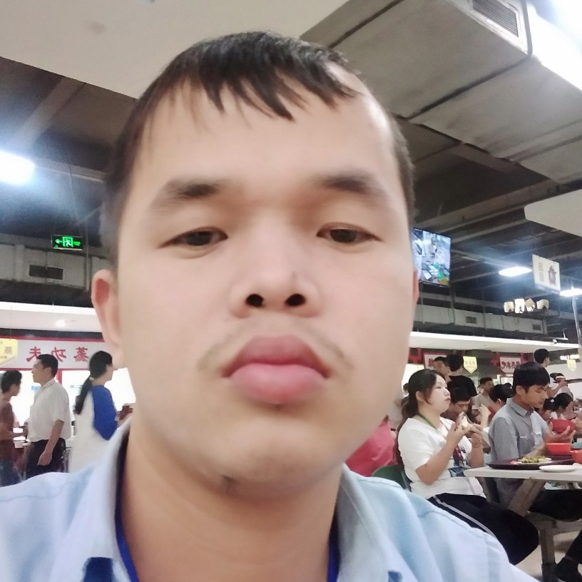 華麗有猫咪的照片