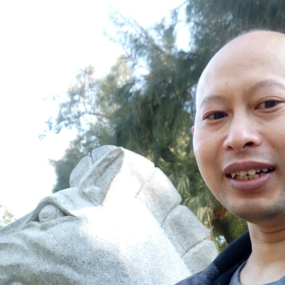 激情海燕的照片