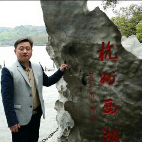 大雁无奈的照片