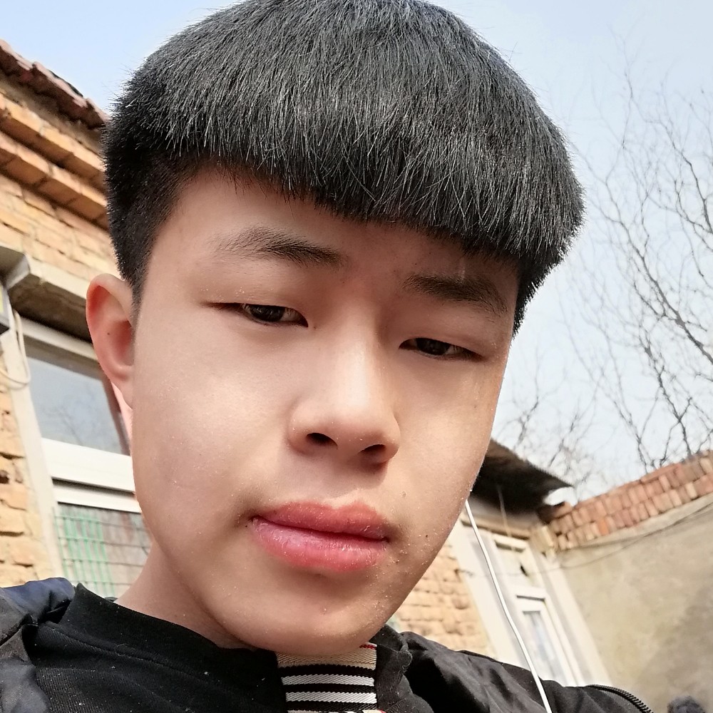 不归客的照片