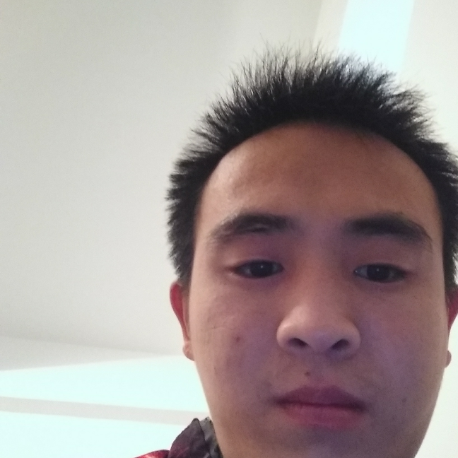 彩色有玫瑰的照片