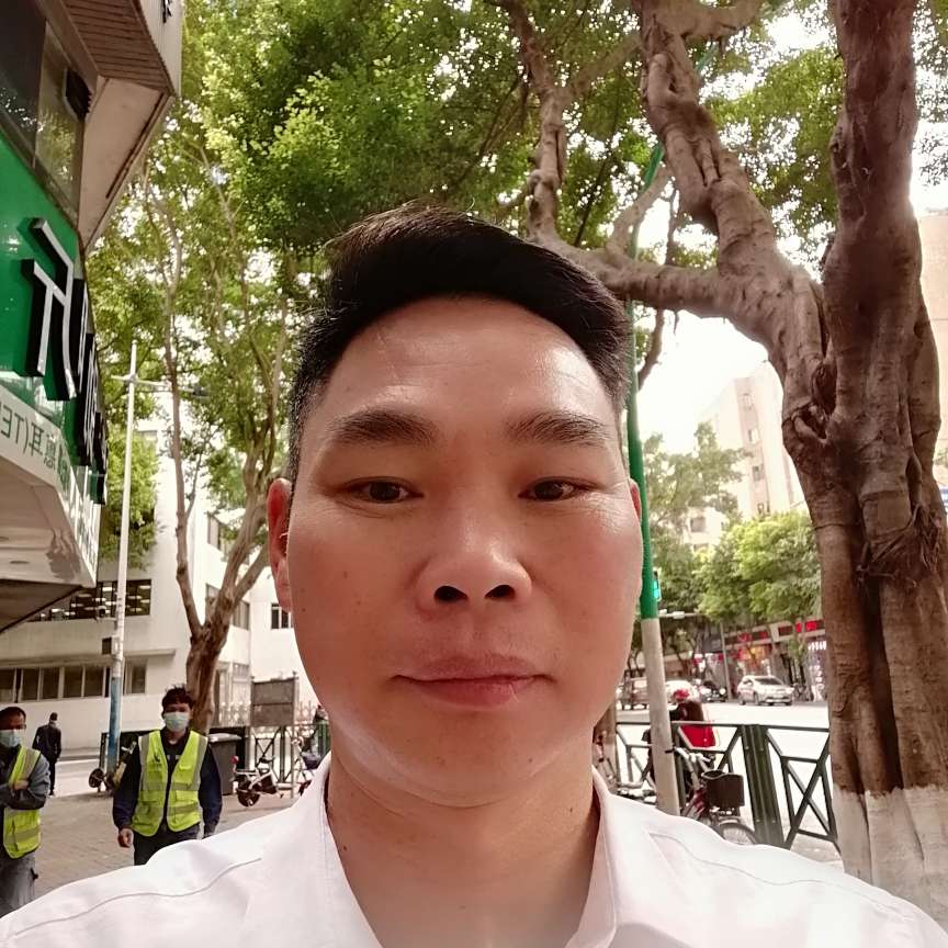 悠闲的鸿文的照片