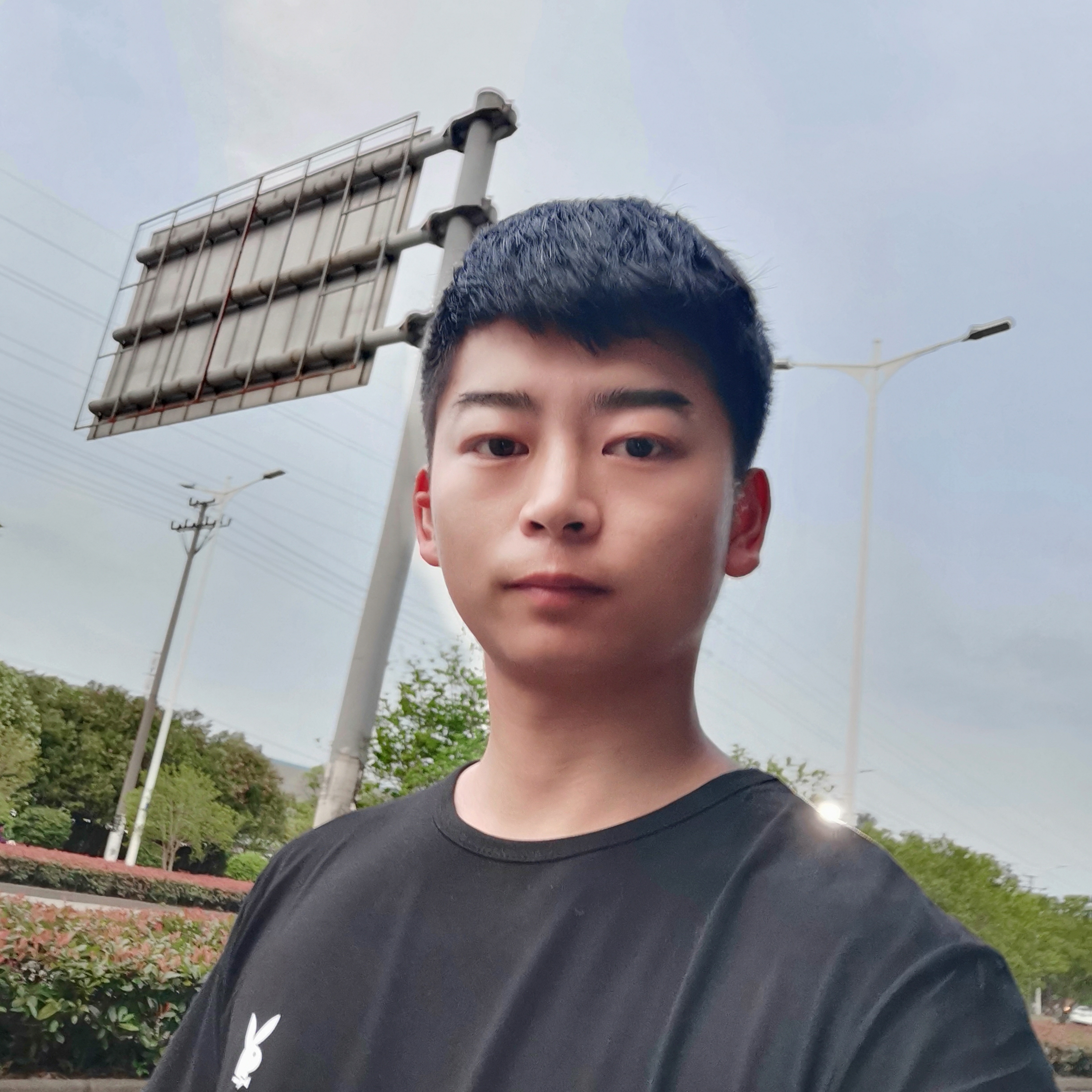 绿茶先动手的照片