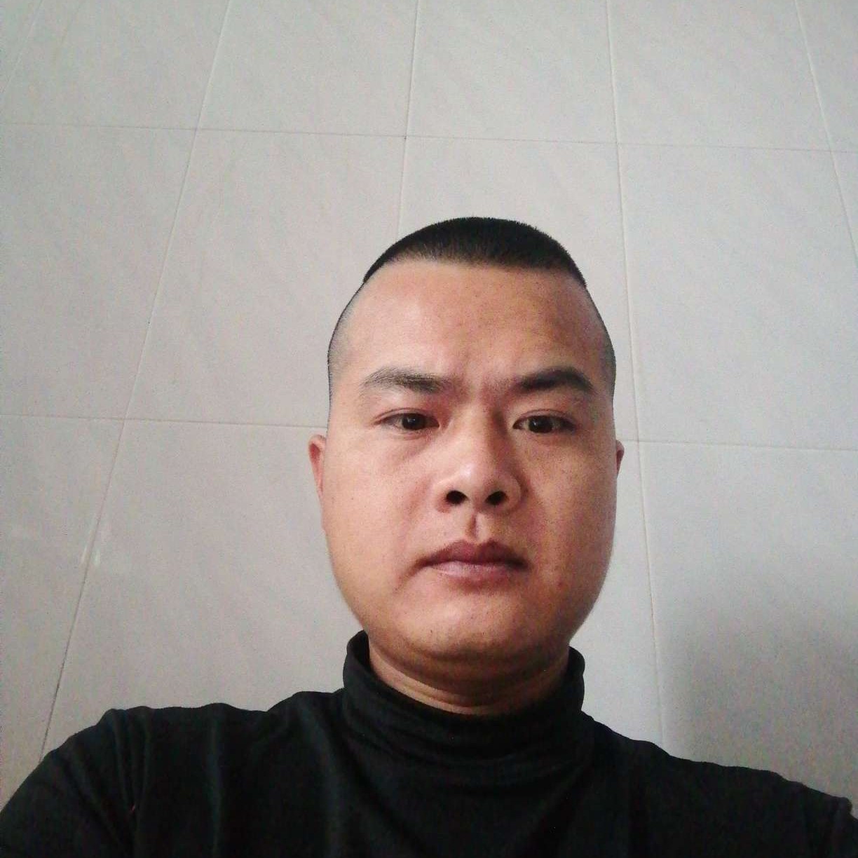 红玫瑰爱恋自由的照片