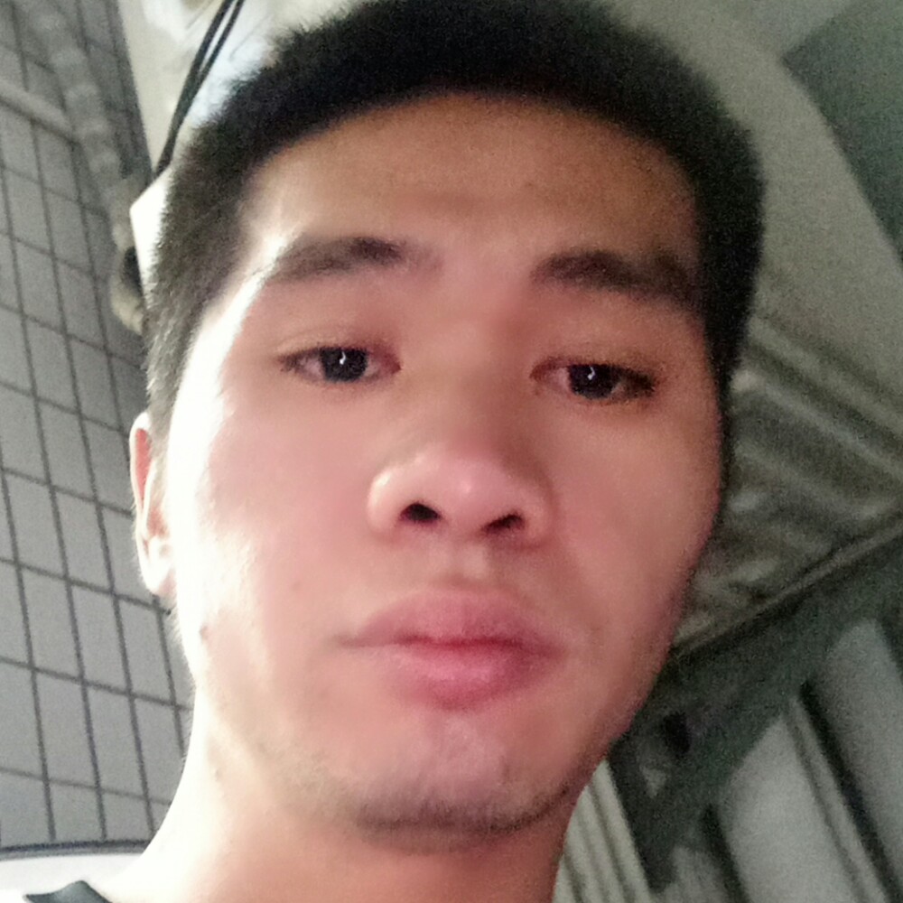 玫瑰蹁跹温婉的照片