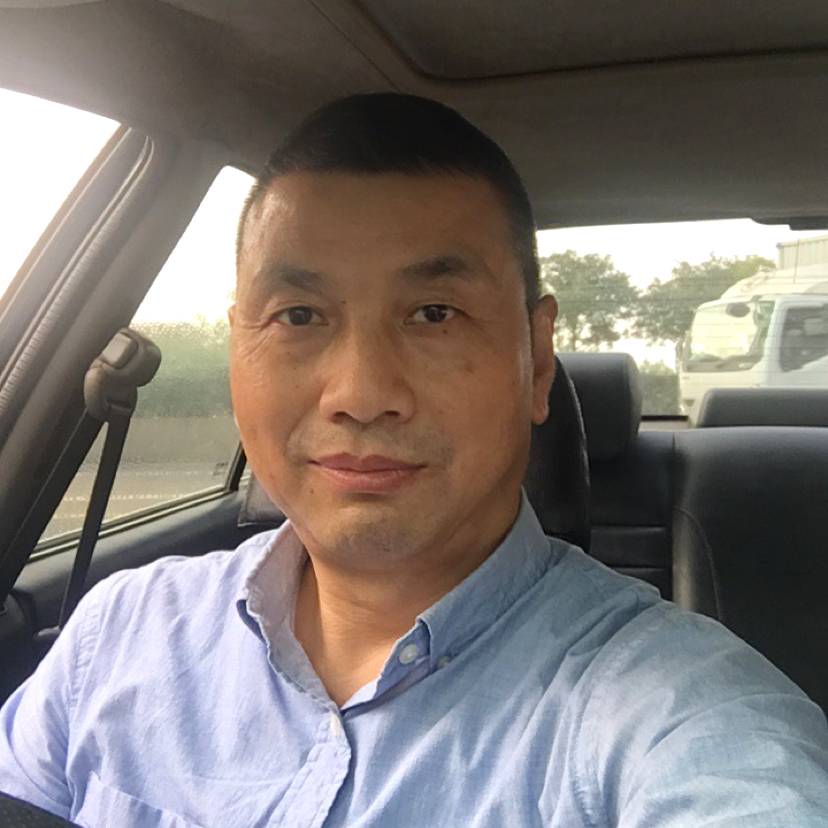 绿叶寻的照片