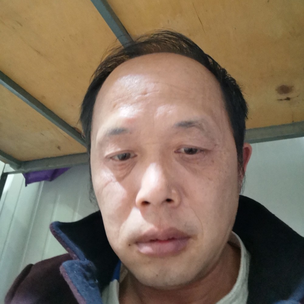 小鸽子落寂的照片