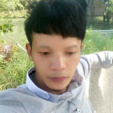小蚂蚁害怕的照片