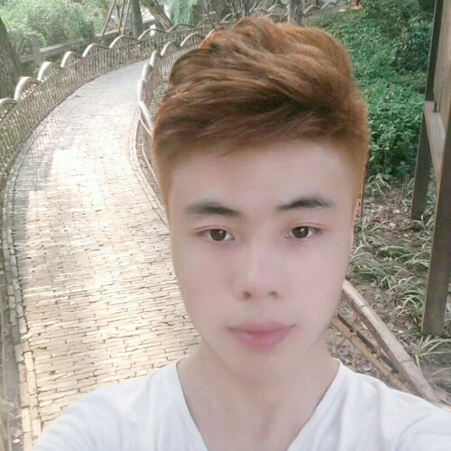 太阳的照片