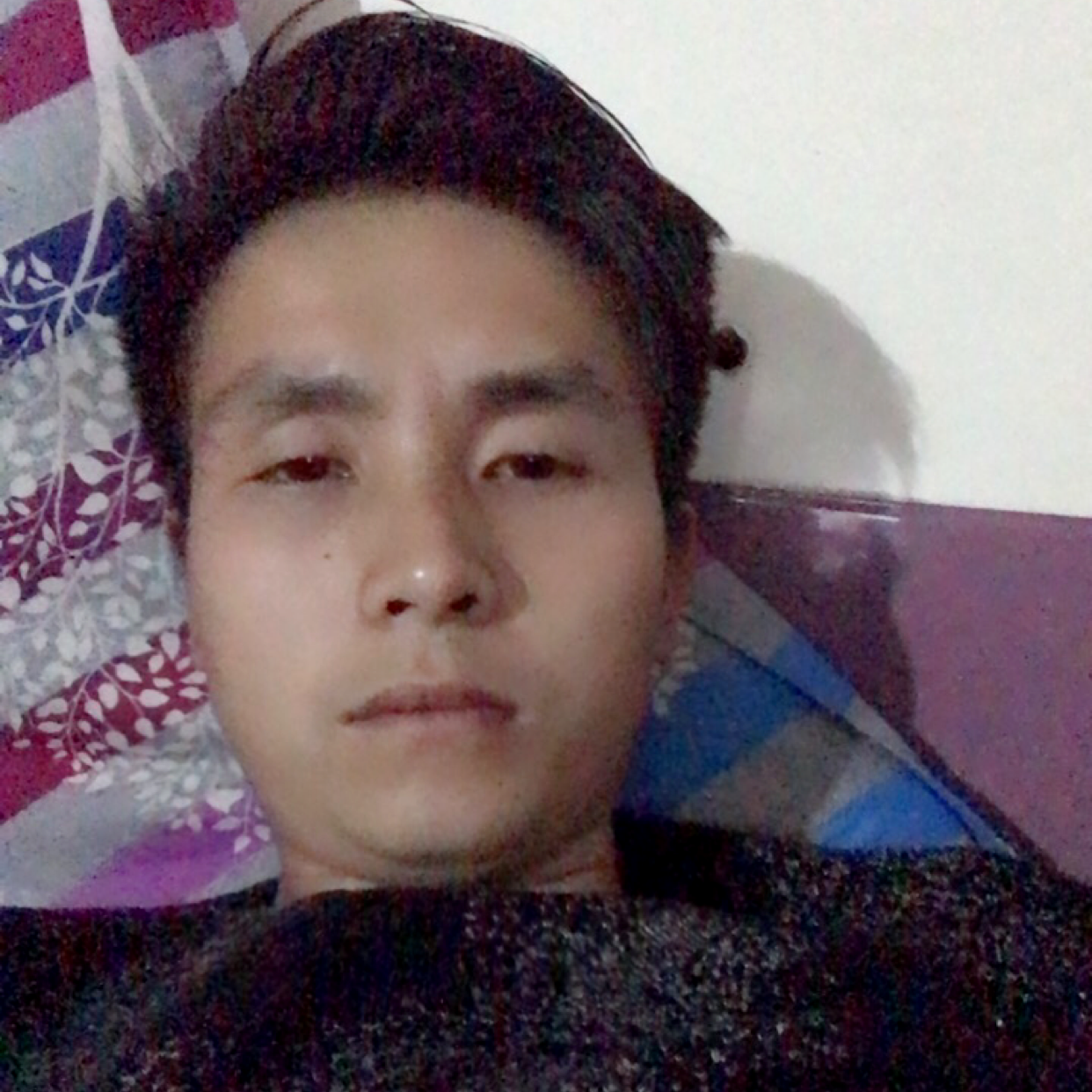 惊鸿的淡然的照片