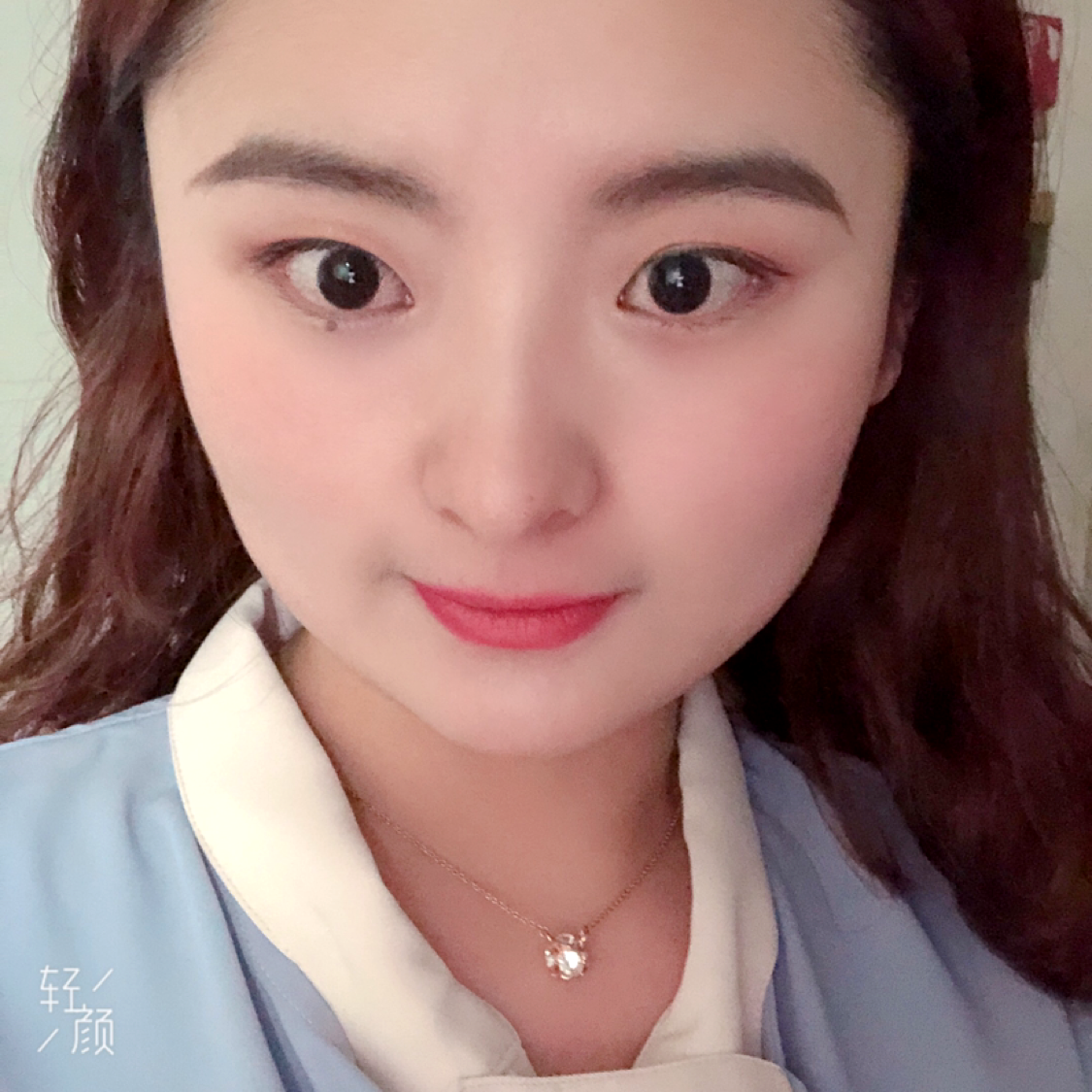 鱼的照片
