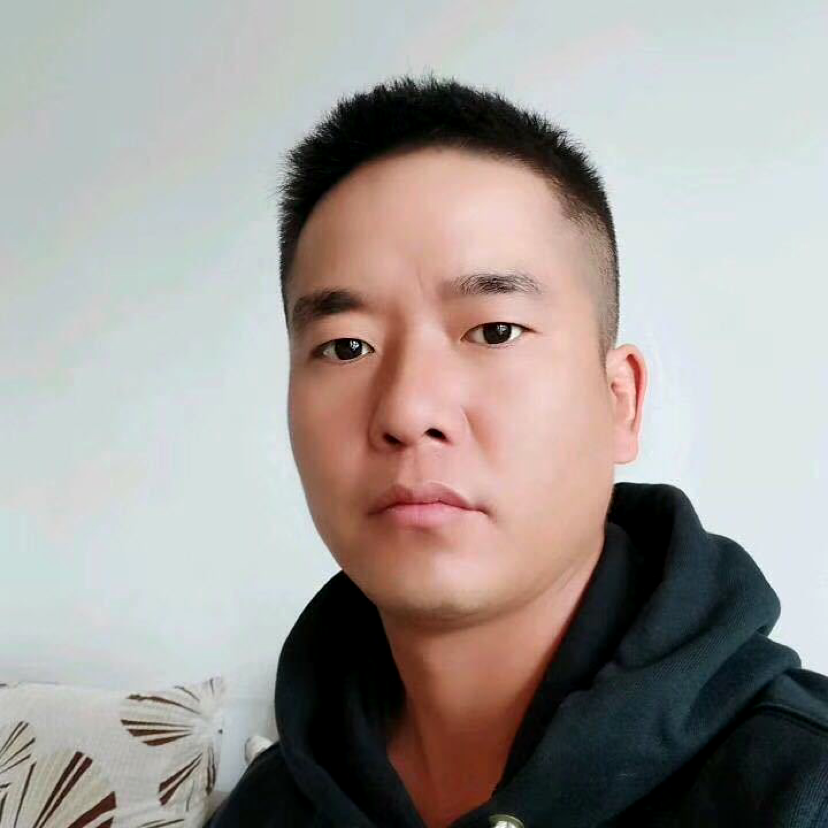 健康还刺猬的照片